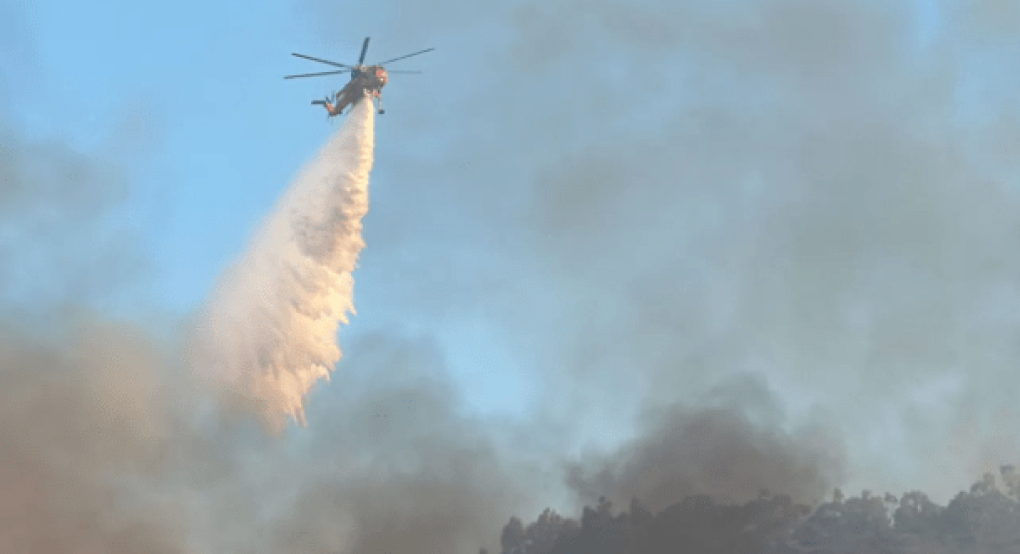Φωτιά στη Μεγάλη Βόλβη Θεσσαλονίκης - Περιορίστηκε σε δύο εστίες Φωτιά στη Μεγάλη Βόλβη Θεσσαλονίκης - Περιορίστηκε σε δύο εστίες