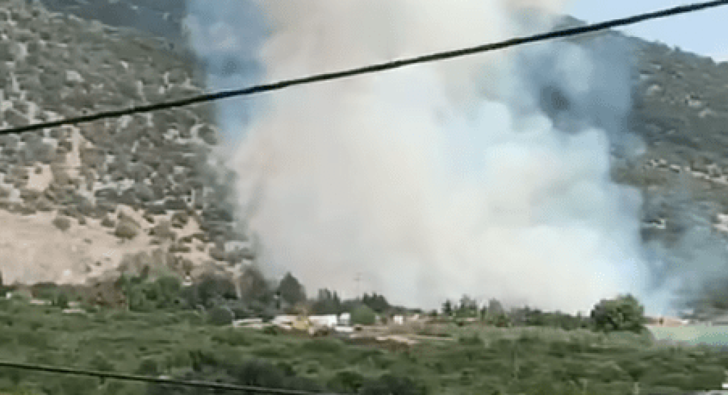 Φωτιά στην Αραβησσό/ Άμεσα έσπευσε η Πυροσβεστική (Pic, video)