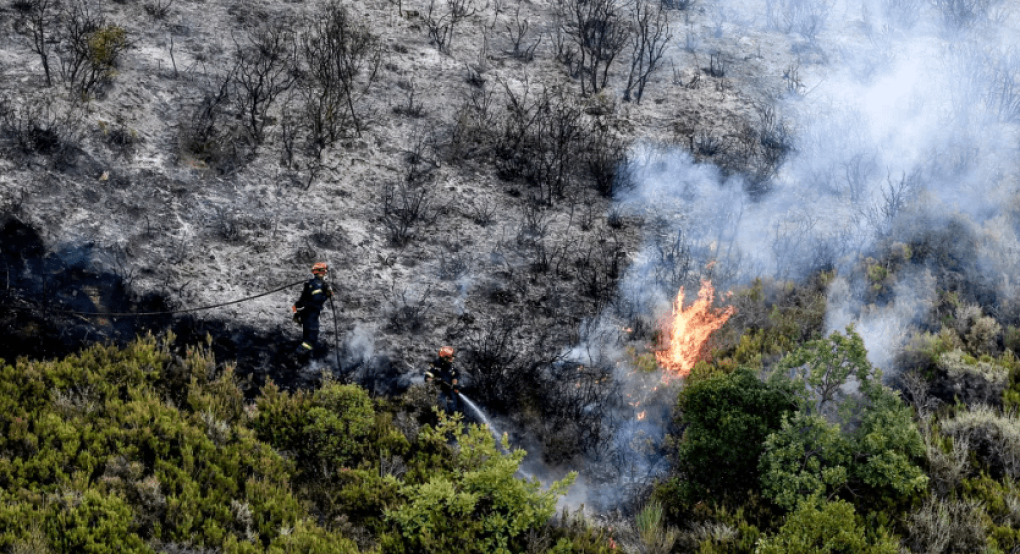 Κινητοποίηση πυροσβεστών στη Φωκίδα για κατάσβεση πυρκαγιάς σε δάσος
