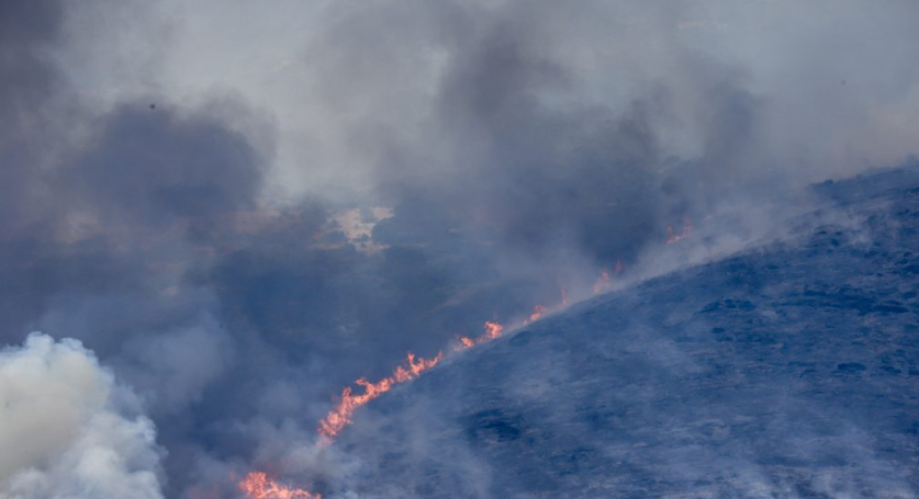 Πώς η απώλεια δασικής βλάστησης αυξάνει τη θερμοκρασία του εδάφους – Η περίπτωση της Πάτρας μετά τις φωτιές Πώς η απώλεια δασικής βλάστησης αυξάνει τη θερμοκρασία του εδάφους – Η περίπτωση της Πάτρας μετά τις φωτιές
