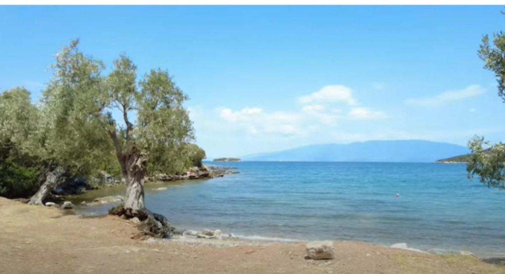 Άγριος καβγάς στην παραλία «Τζιτζίκια» στο Νότιο Πήλιο – Στο επίκεντρο οικογενειάρχης από τα Γιαννιτσά Άγριος καβγάς στην παραλία «Τζιτζίκια» στο Νότιο Πήλιο – Στο επίκεντρο οικογενειάρχης από τα Γιαννιτσά