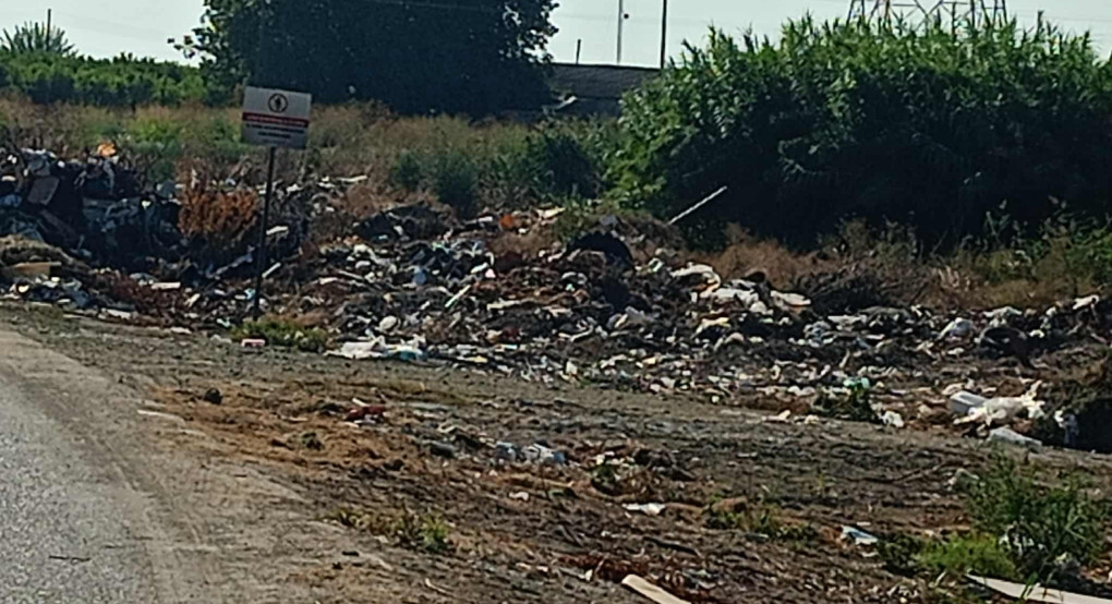 Καλύβια: Η Επόμενη ημερα της φωτιάς Καλύβια: Η Επόμενη ημερα της φωτιάς
