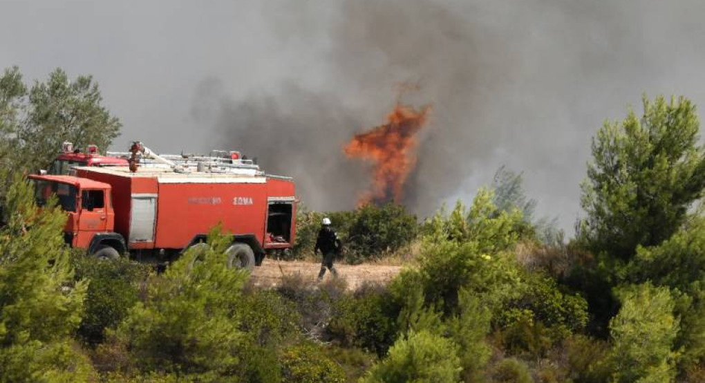 Άμεση επέμβαση της Πυροσβεστικής σε φωτιά έξω από κτηνοτροφική μονάδα στη Θηριοπέτρα Αλμωπίας