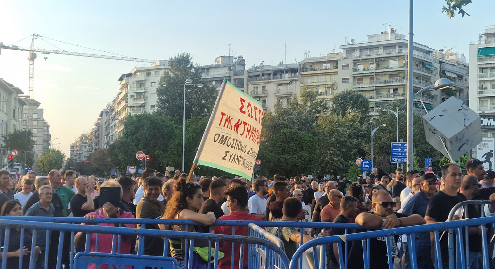 Σε απόγνωση οι κτηνοτρόφοι – Η ευλογιά των προβάτων απειλεί τον κλάδο