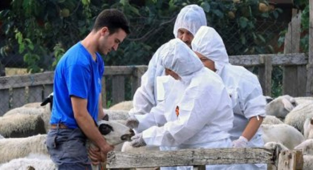 Επίδομα επικίνδυνης και ανθυγιεινής εργασίας για τους κτηνιάτρους των Περιφερειών Επίδομα επικίνδυνης και ανθυγιεινής εργασίας για τους κτηνιάτρους των Περιφερειών