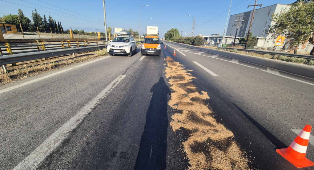 Αντιπεριφερειάρχης Πέλλας Δάνης Τζαμτζής: «Η Περιφερειακή Ενότητα Πέλλας συμμετέχει στις επιχειρήσεις πολιτικής προστασίας 24/24, σε όλη την επικράτεια αρμοδιότητάς της»