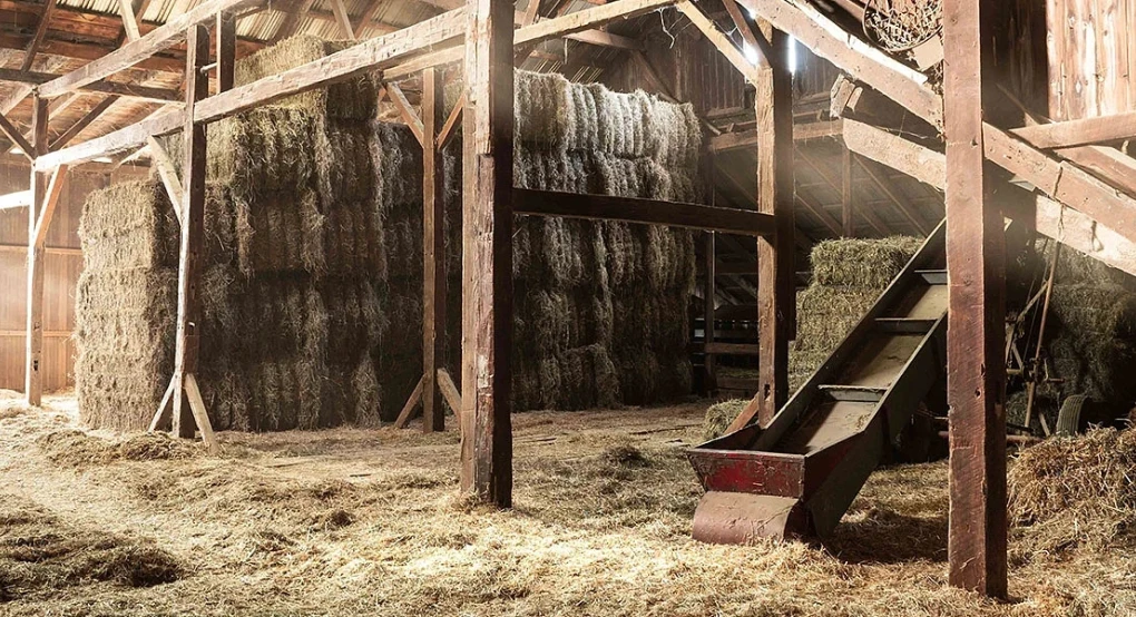 Δ.Α.Ο.Κ. Π.Ε. Ημαθίας - Ειδικά μέτρα διακίνησης και βιοασφάλειας που πρέπει να τηρούν οι επιχειρήσεις ζωοτροφών και οι παραγωγοί πρώτων υλών ζωοτροφών