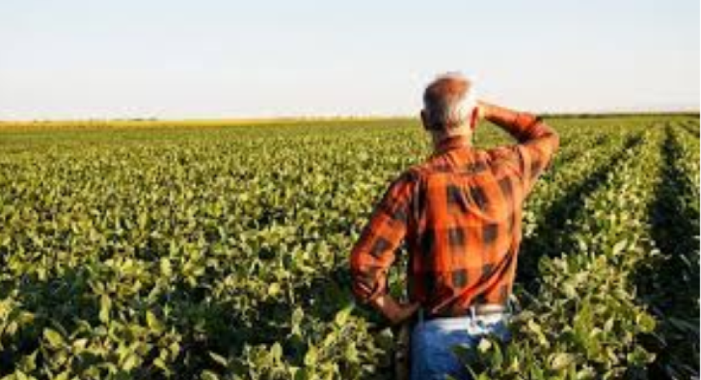 Έρχονται 10.000 εργάτες γης – Πάνω από 100.000 μετακλήσεις ξένων εργατών για το 2026