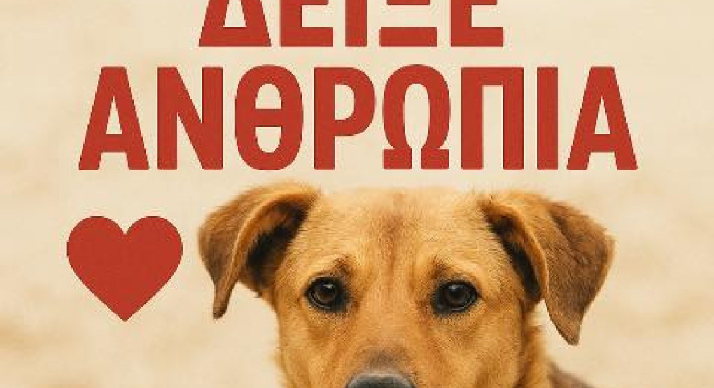 Δήμος Πέλλας: Θλίψη και αγανάκτηση Δήμος Πέλλας: Θλίψη και αγανάκτηση