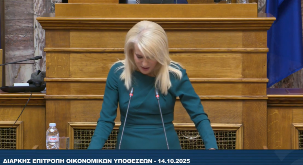 Θεοδώρα Τζάκρη - Τοποθέτηση για το προσχέδιο του Προϋπολογισμού του 2026 Θεοδώρα Τζάκρη - Τοποθέτηση για το προσχέδιο του Προϋπολογισμού του 2026