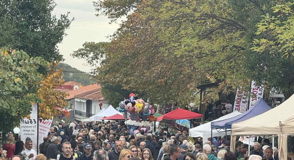 Γρίβα: Με απόλυτη επιτυχία η γιορτή Καστάνου Γρίβα: Με απόλυτη επιτυχία η γιορτή Καστάνου