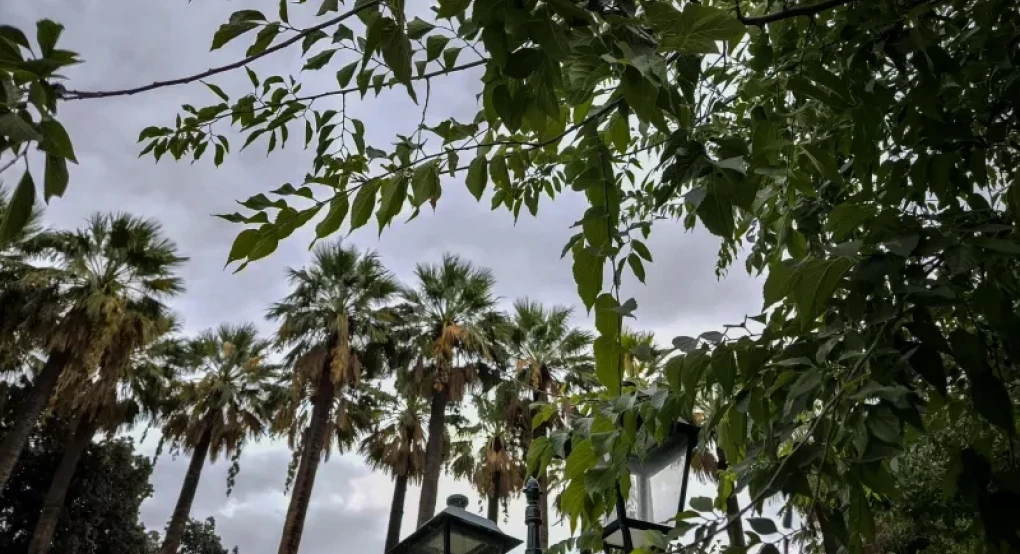 Συννεφιά με τοπικές βροχές σήμερα - Χωρίς αξιόλογη μεταβολή η θερμοκρασία