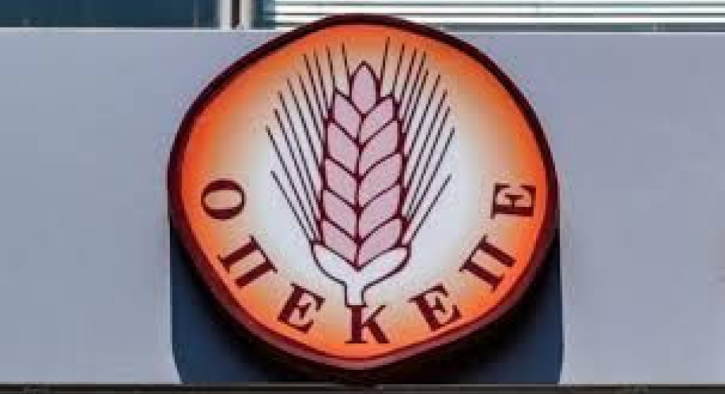 Κύκλωμα παράνομων επιδοτήσεων ΟΠΕΚΕΠΕ: Πώς δρούσε ο 38χρονος αρχηγός από τα Γιαννιτσά -Πολυτελή ταξίδια, Gucci, Prada και εικονικό διαζύγιο Κύκλωμα παράνομων επιδοτήσεων ΟΠΕΚΕΠΕ: Πώς δρούσε ο 38χρονος αρχηγός από τα Γιαννιτσά -Πολυτελή ταξίδια, Gucci, Prada και εικονικό διαζύγιο