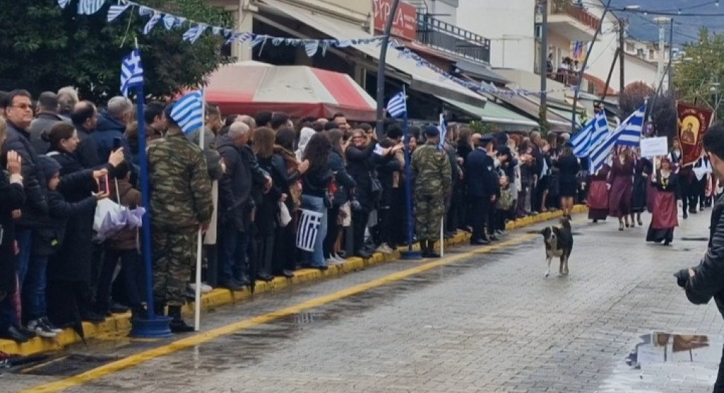 Αριδαία: Τα απρόοπτα της παρέλασης