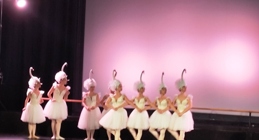 Η Εθνική Λυρική Σκηνή στα Γιαννιτσά! / Συνεχίζονται οι παραστάσεις