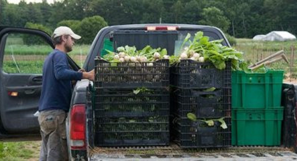 Από τον Μάιο υποχρεωτικό το ψηφιακό δελτίο αποστολής για την διακίνηση των αγροτικών προϊόντων