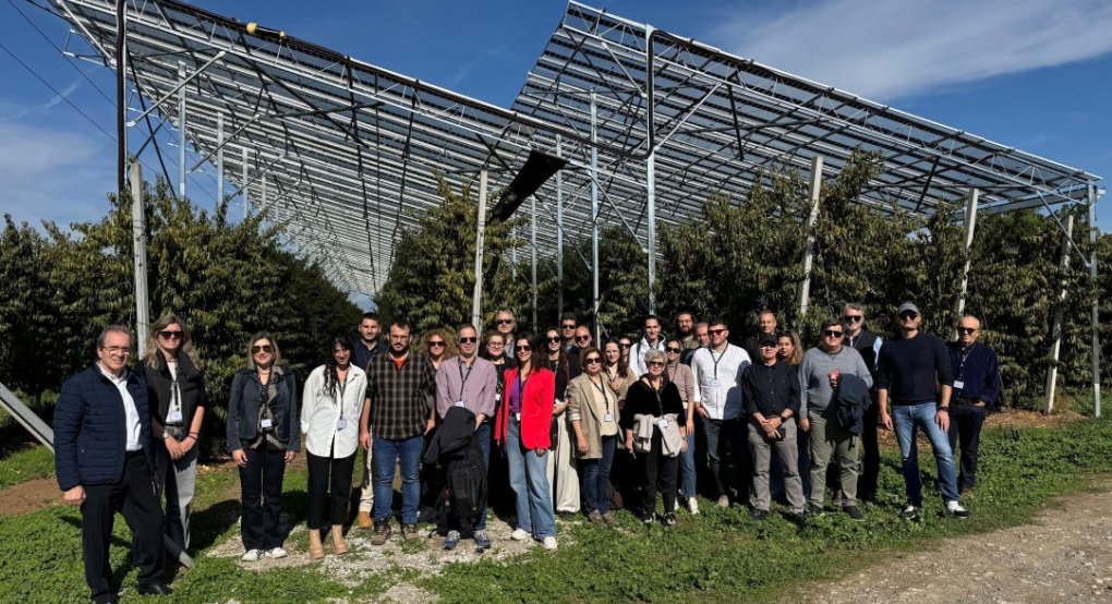 Η Περιφέρεια και το Περιφερειακό Ταμείο Ανάπτυξης Κεντρικής Μακεδονίας στην ημερίδα “Αγροβολταϊκά (Agri-PV) και εφαρμογές” στο πλαίσιο του έργου “SolarHub”