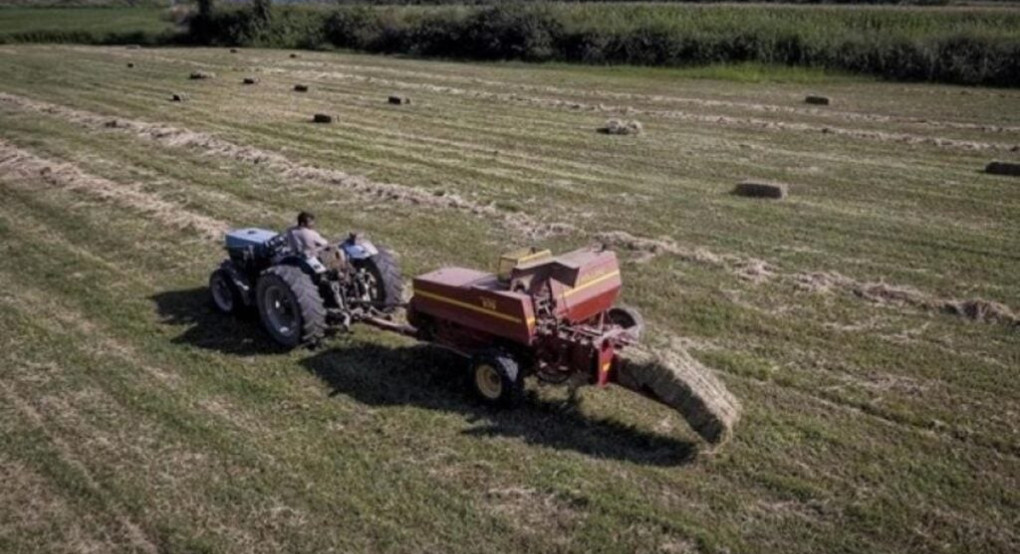 ΟΠΕΚΕΠΕ: Πότε θα καταβληθεί η βασική ενίσχυση - Κατατέθηκε η πρόταση στις ευρωπαϊκές αρχές