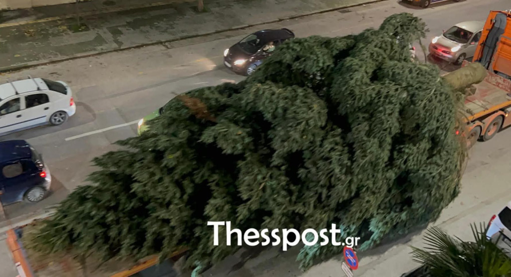 Θεσσαλονίκη: Έφτασε το χριστουγεννιάτικο έλατο 18 μέτρων από Παλαιοχώρι (VIDEO)