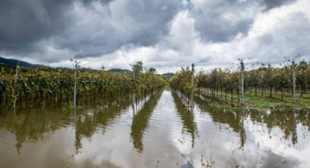 Από την ολοκλήρωση των ελέγχων εξαρτάται ο χρόνος πληρωμών βασικής ενίσχυσης και Μέτρου 23