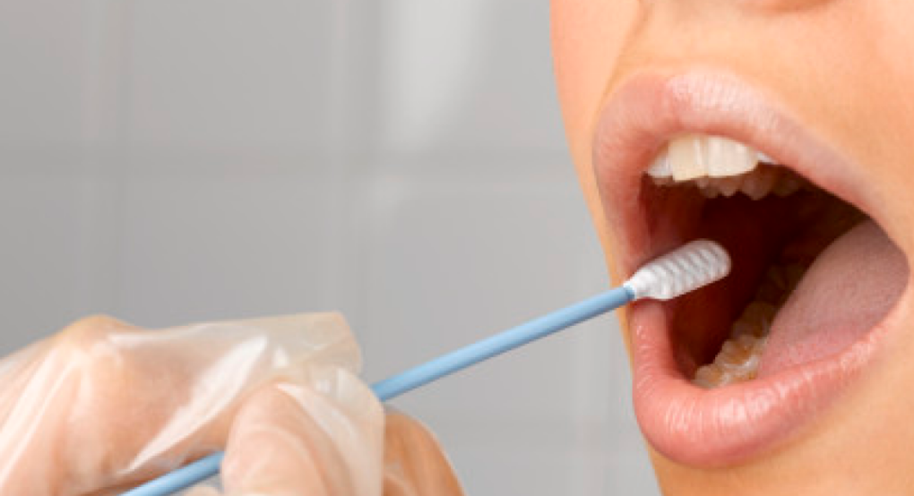 Το θαύμα των μεταμοσχεύσεων – Πώς μια εκδήλωση για δότες μυελού οστών σε μπαρ στη Χαλκιδική έσωσε έναν Γάλλο ασθενή