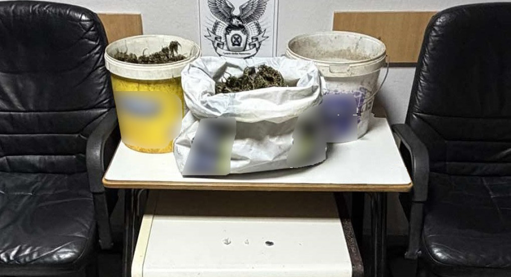 Πέλλα: Ποιμνιοστάσιο "αποθήκη" κάνναβης εντόπισε το Τμήμα Δίωξης