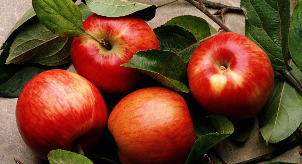 Εκτινάχθηκαν οι εισαγωγές μήλων - Κίνδυνος για την εγχώρια παραγωγή