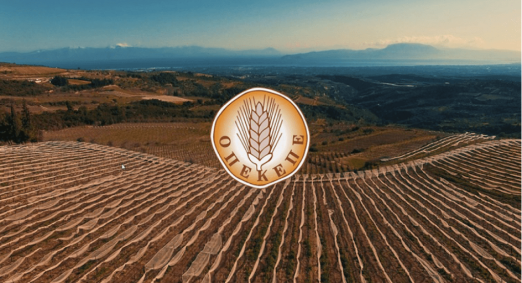 Κώστας Τσιάρας: Η έγκριση του Αction Plan 2 για τον ΟΠΕΚΕΠΕ ανοίγει τον δρόμο για πληρωμές με βάση τον σχεδιασμό του Οργανισμού