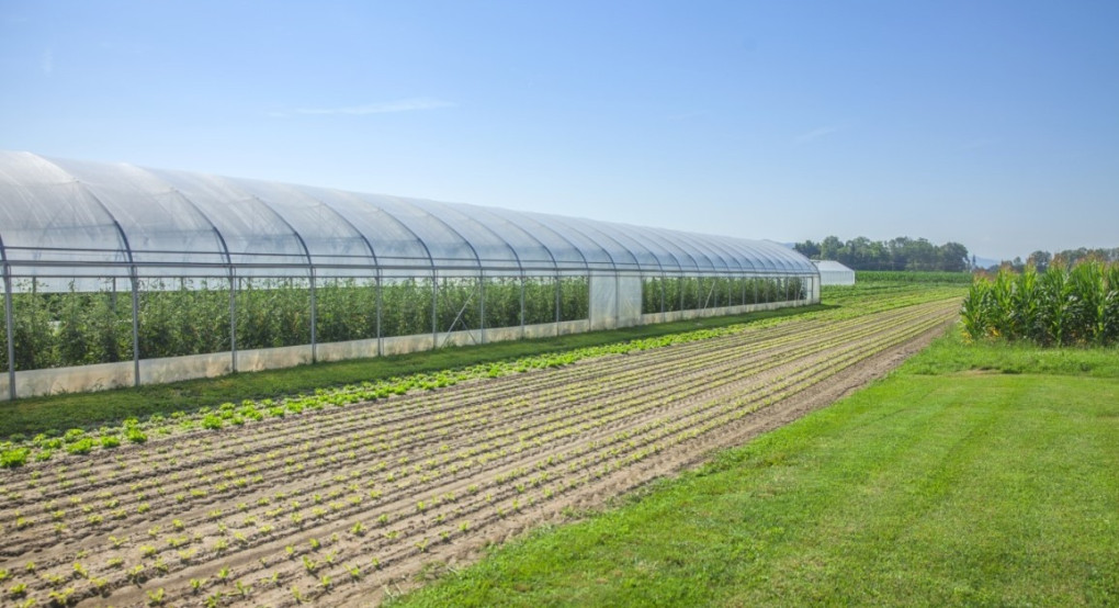 Ανακοίνωση Διεύθυνσης Αγροτικής Οικονομίας και Αλιείας ΠΚΜ για την Παρέμβαση Π3-73-2.9 για θερμοκήπια και στέγαστρα φυτικής παραγωγής