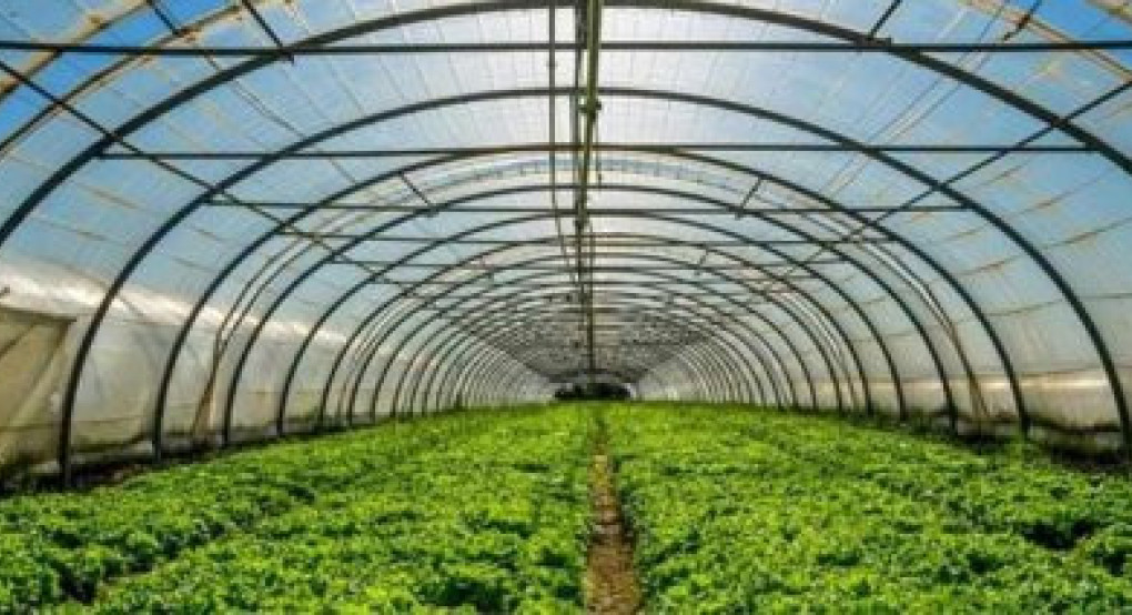 Παράταση των αιτήσεων για τα θερμοκήπια ή τα στέγαστρα φυτικής και αλλαγές στα βαθμολογικά κριτήρια