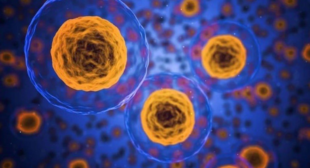 Επιστήμονες στις ΗΠΑ γύρισαν πίσω το ρολόι και αναζωογόνησαν γερασμένα ανθρώπινα κύτταρα