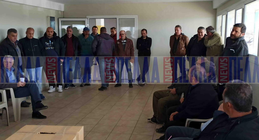 Αυτό είναι το - επίσημο πλέον -  Διοικητικό Συμβούλιο του ΣΕΑΣ Ν. Πέλλας