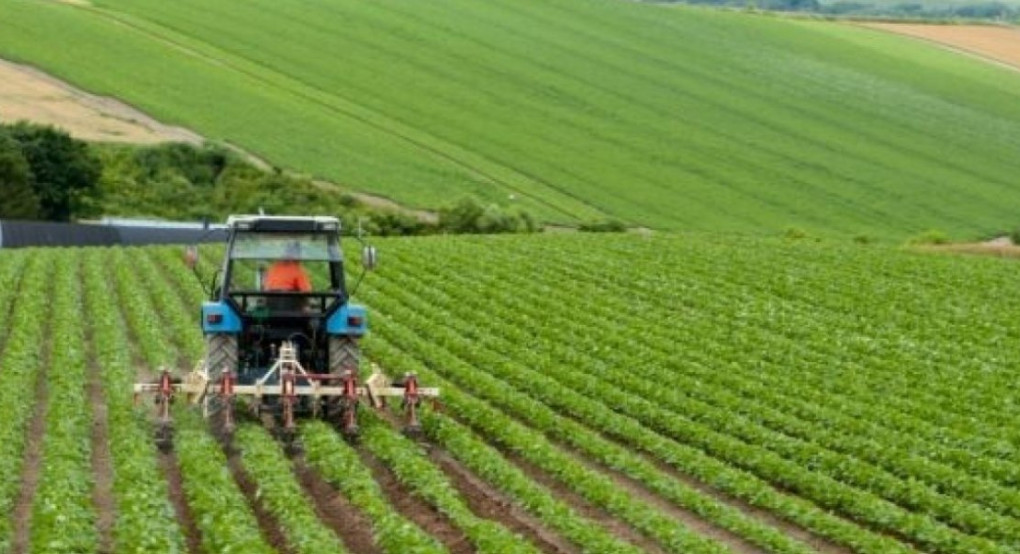 Τι γίνεται με τους αγρότες και τους κτηνοτρόφους; 