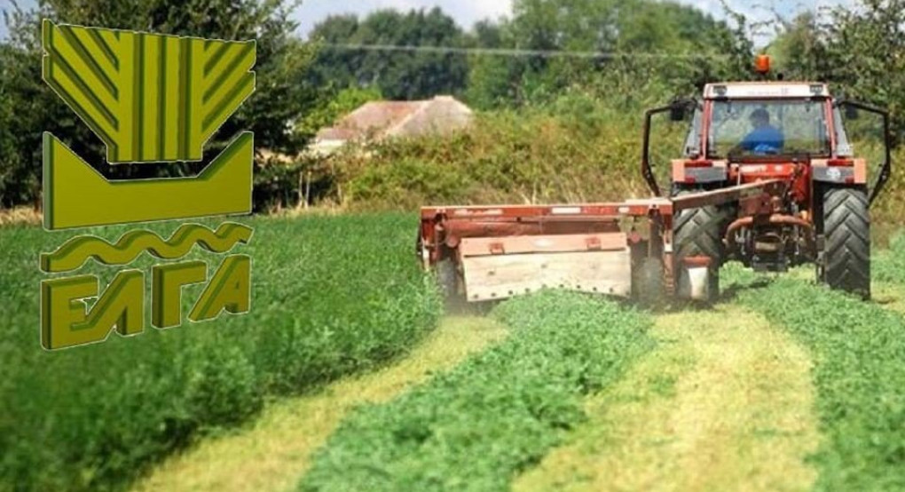 ΕΛΓΑ: Αναρτήθηκαν τα πορίσματα από το χαλάζι Ιουνίου