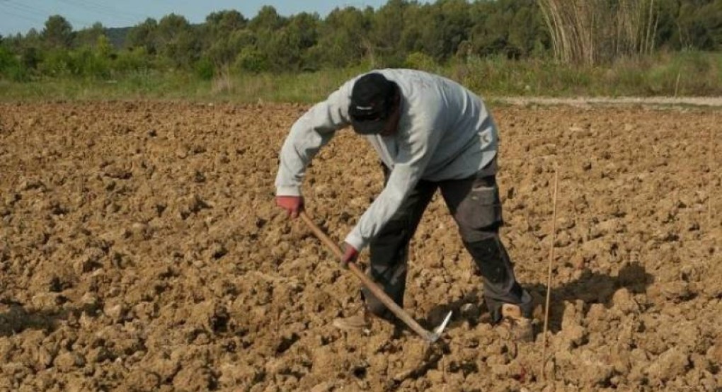 Η ανακοίνωση του Αγροτικού Συλλόγου "Ομόνοια" για τον κορωνοϊό
