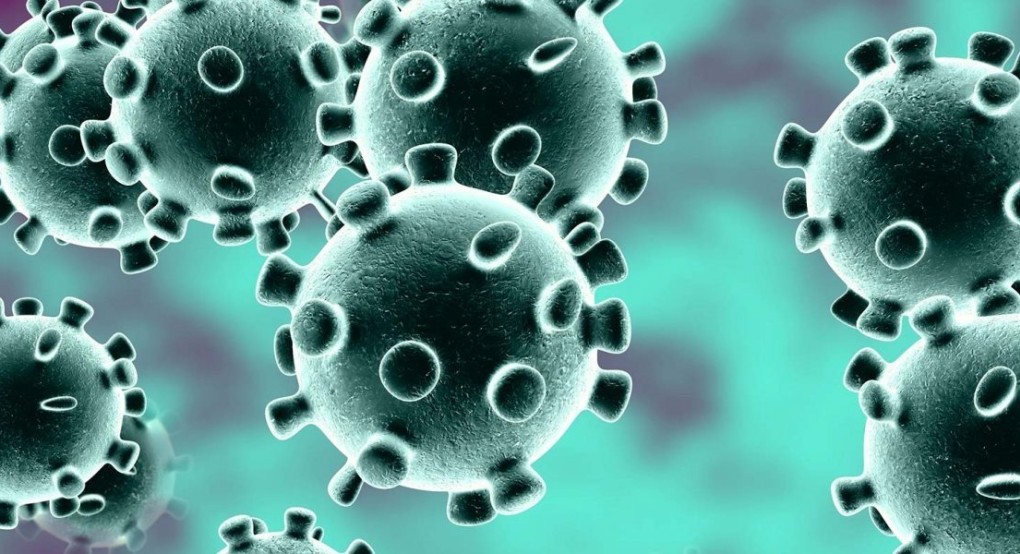 4 νέα κρούσματα στη Ζάκυνθο - Όλοι ήταν στην ίδια εκδρομή στους Άγιους Τόπους - 35 στο σύνολο