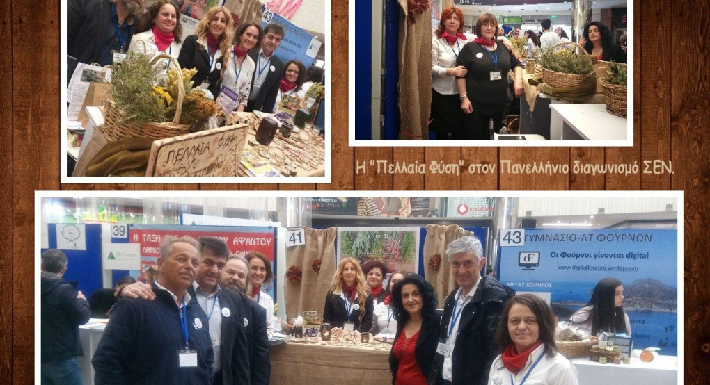 Tο Εσπερινό ΕΠΑΛ Γιαννιτσών συμμετείχε στον Πανελλήνιο διαγωνισμό του ΣΕΝ/JA Greece με την εικονική επιχείρηση “Πελλαία Φύση”