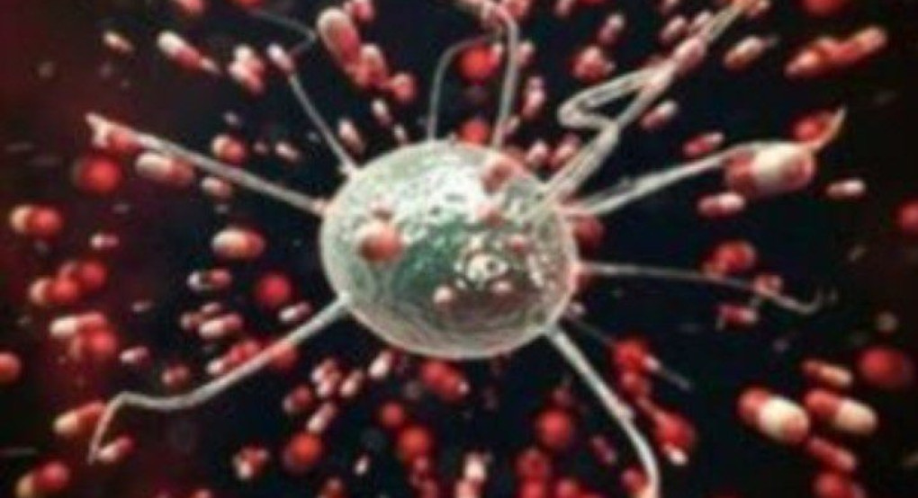 22 ερωτήσεις για τα νέα μέτρα και τις ρυθμίσεις για τον κορωνοϊό, με απαντήσεις από την γ.γ. Πολιτικής Προστασίας