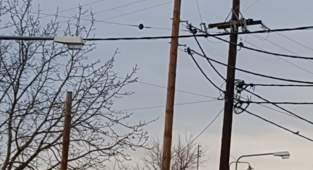 Οι πελαργοί, όμως, μας θυμίζουν ότι… υπάρχει αύριο!