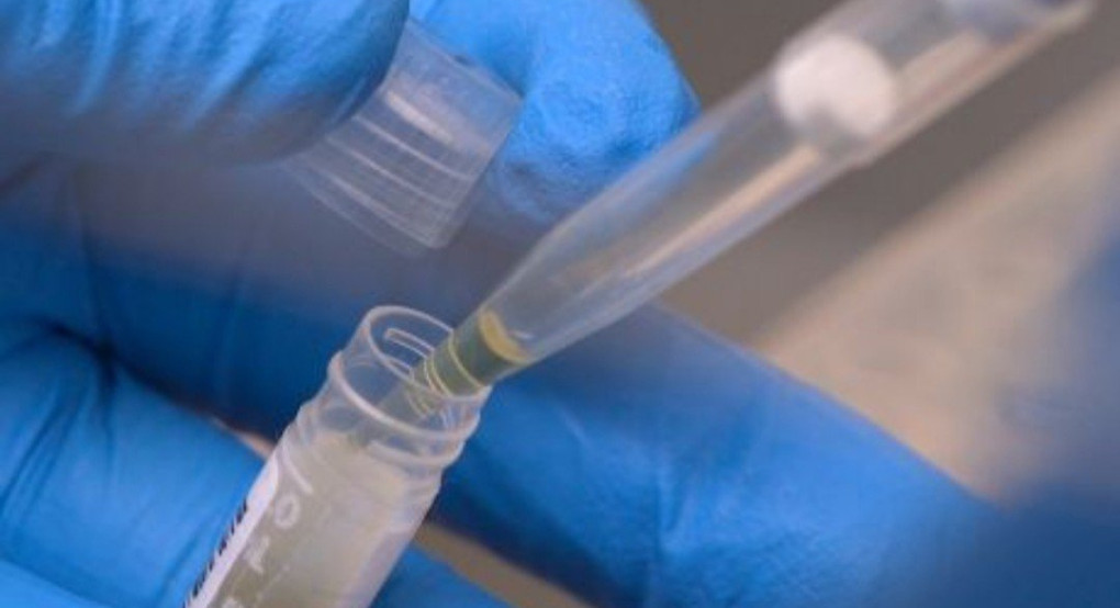 Ελπίδα για καταπολέμηση του Κορωνοϊού 