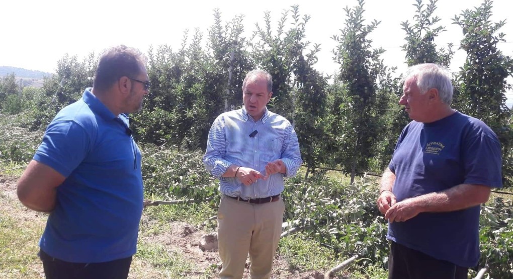 Σταμενίτης: "Στα μέσα της επόμενης εβδομάδας ο ΕΛΓΑ θα προχωρήσει στην καταβολή των αποζημιώσεων" 