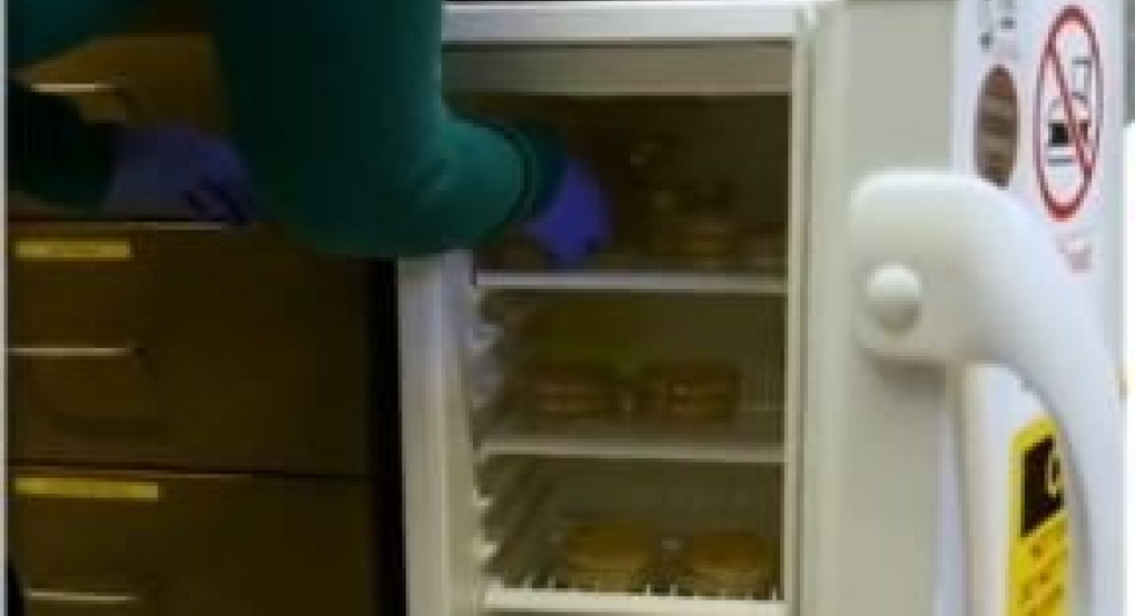 500 κινητά συνεργεία για κατ΄οίκον εξέταση ύποπτων κρουσμάτων