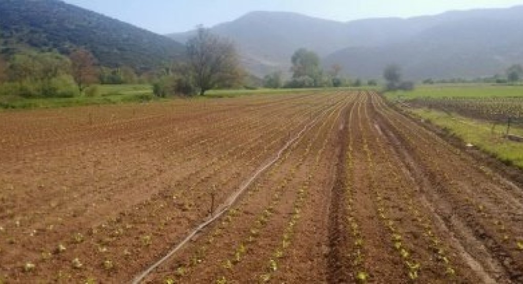 Τι πρέπει να κάνουν οι αγρότες και οι κτηνοτρόφοι για να πάνε στις δουλειές τους 