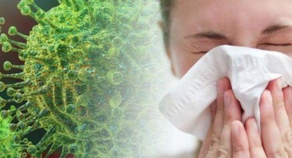 Κοσμάς Ερυθρόπουλος: Να παρθούν άμεσα μέτρα για τον Κορωνοϊό από τις υπηρεσίες της Π.Ε Πέλλας 