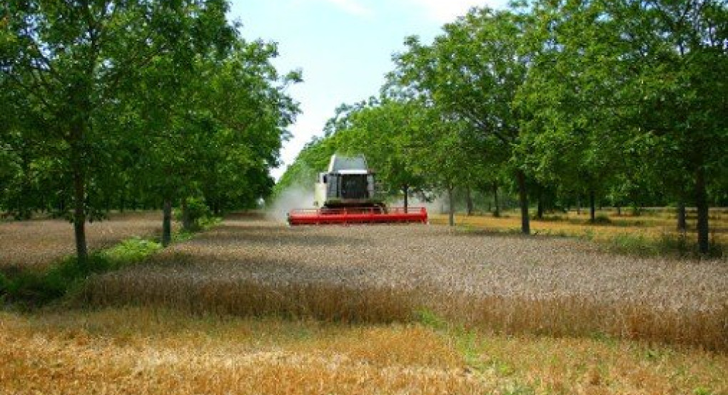 Γ.Καρασμάνης: Υπέρογκα ποσά καλούνται να επιστρέψουν εκατοντάδες δικαιούχοι του Προγράμματος Δάσωσης Αγροτικών Γαιών   