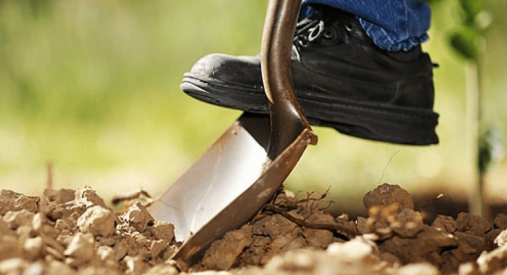 Αναστολή στα προγράμματα για κατάρτιση νέων γεωργών 