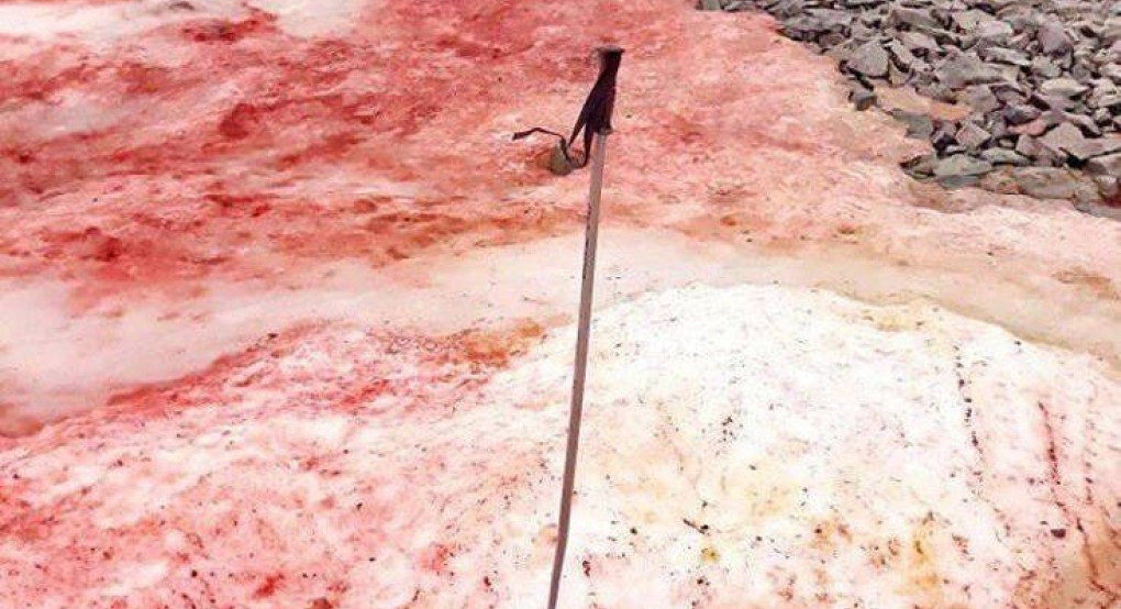 Βάφτηκε κόκκινος ο πάγος της Ανταρκτικής