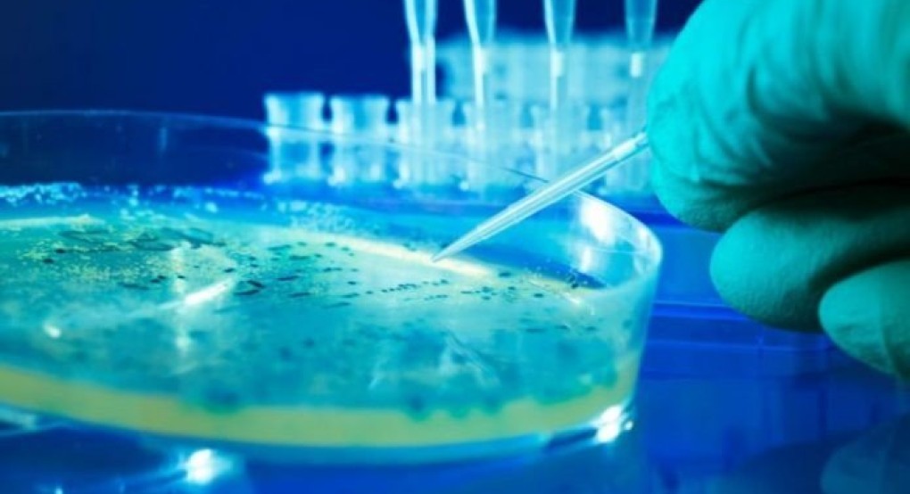 Ανακαλύφθηκε μηχανισμός που καταστρέφει τους καρκινικούς όγκους