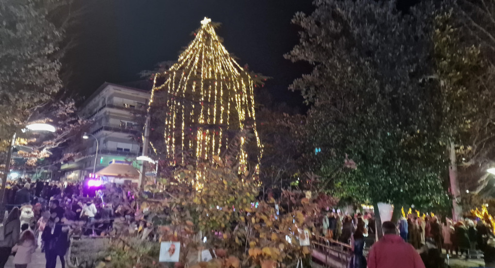 Η Έδεσσα φόρεσε τα γιορτινά της – Άναψε το φυσικό, υπέροχο Χριστουγεννιάτικο δέντρο στην καρδιά της πόλης