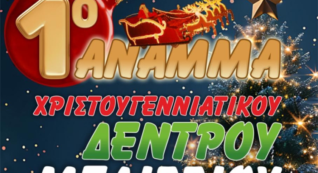 Γιαννιτσά: Περνά περνά το...Μελισσιώτικο Δέντρο!